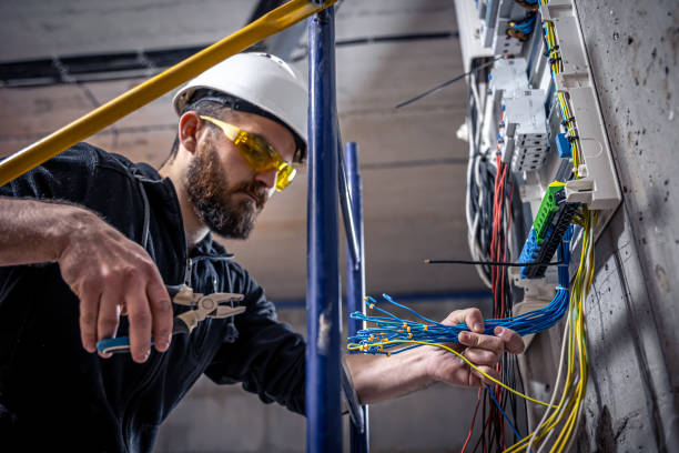 Best Electric Panel Repair  in Anniston, AL